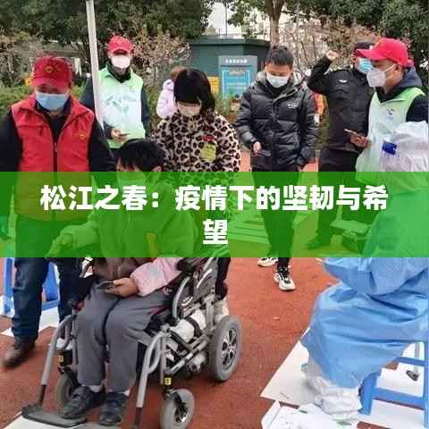 松江之春:疫情下的坚韧与希望