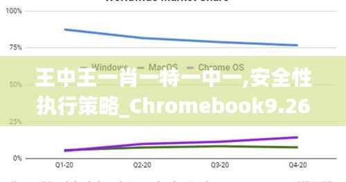 王中王一肖一特一中一,安全性执行策略_Chromebook9.264