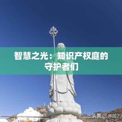 智慧之光:知识产权庭的守护者们