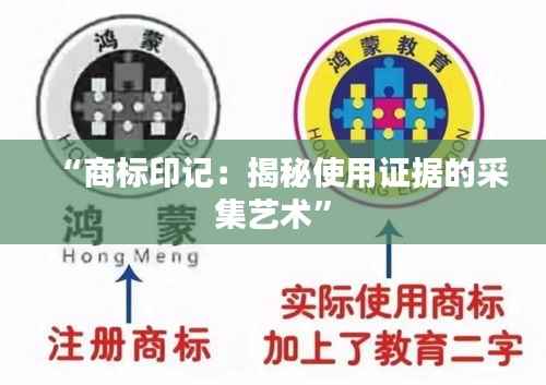 “商标印记：揭秘使用证据的采集艺术”
