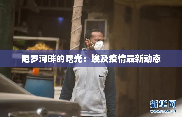 就棍打腿 第5页