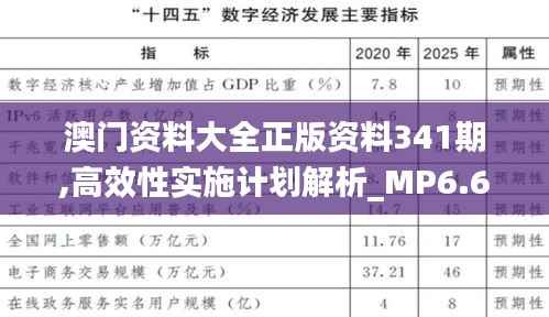 澳门资料大全正版资料341期,高效性实施计划解析_MP6.608