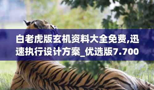 白老虎版玄机资料大全免费,迅速执行设计方案_优选版7.700
