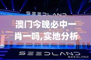 澳门今晚必中一肖一吗,实地分析数据执行_QHD9.404