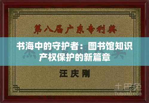书海中的守护者:图书馆知识产权保护的新篇章