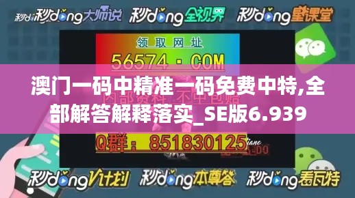 澳门一码中精准一码免费中特,全部解答解释落实_SE版6.939