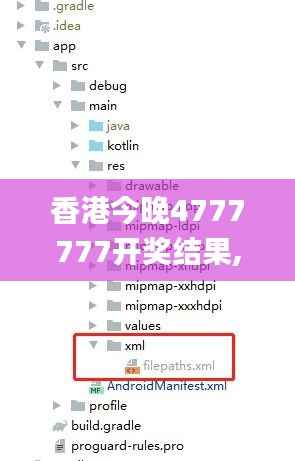 香港今晚4777777开奖结果,实地计划验证策略_Executive18.134