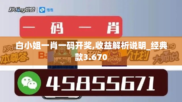 白小姐一肖一码开奖,收益解析说明_经典款3.670