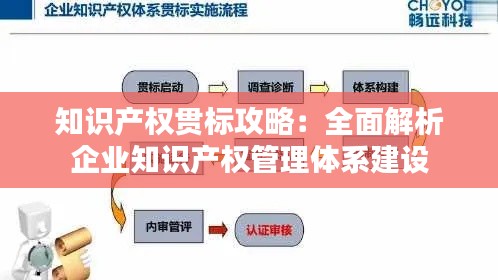 知识产权贯标攻略:全面解析企业知识产权管理体系建设