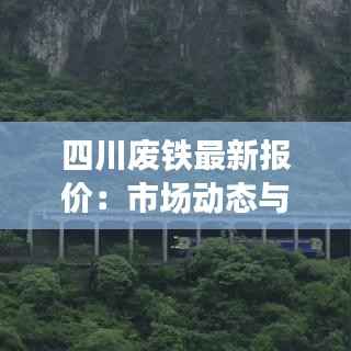 百鸟齐鸣 第5页