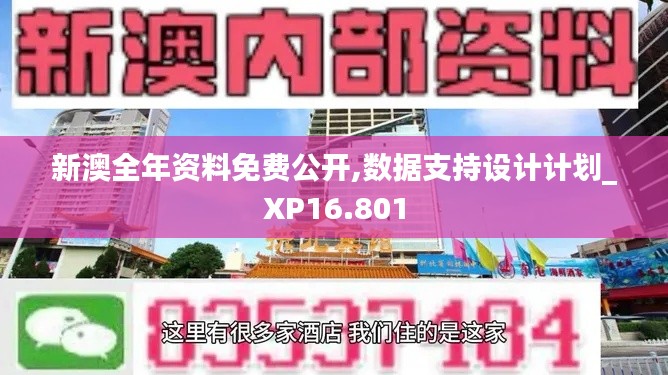 新澳全年资料免费公开,数据支持设计计划_XP16.801