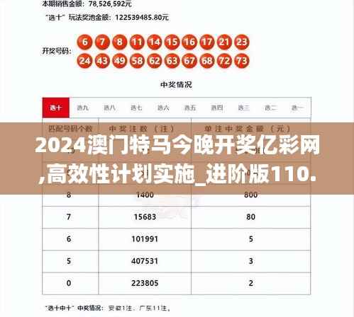 2024澳门特马今晚开奖亿彩网,高效性计划实施_进阶版110.920