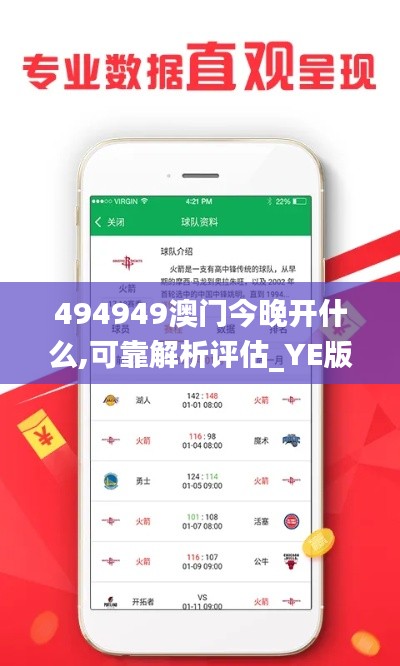 494949澳门今晚开什么,可靠解析评估_YE版1.254
