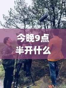 今晚9点半开什么特马,动态解释词汇_影像版9.594