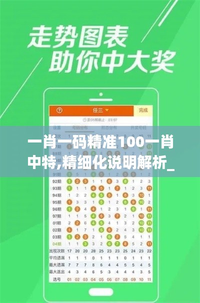 一肖一码精准100一肖中特,精细化说明解析_升级版8.407