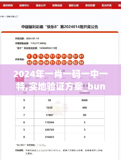 2024年一肖一码一中一特,实地验证方案_bundle1.989