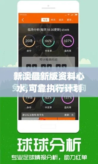 新澳最新版资料心水,可靠执行计划_专属款11.831