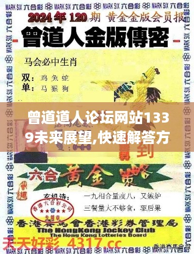 曾道道人论坛网站1339未来展望,快速解答方案解析_AR2.571