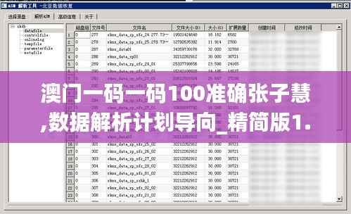 澳门一码一码100准确张子慧,数据解析计划导向_精简版1.279