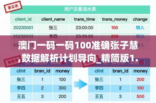 澳门一码一码100准确张子慧,数据解析计划导向_精简版1.279