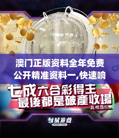 澳门正版资料全年免费公开精准资料一,快速响应设计解析_户外版2.446