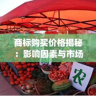 商标购买价格揭秘:影响因素与市场行情分析