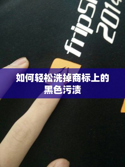 笨鸟先飞 第4页