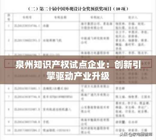 泉州知识产权试点企业:创新引擎驱动产业升级