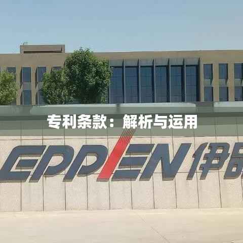 专利条款：解析与运用