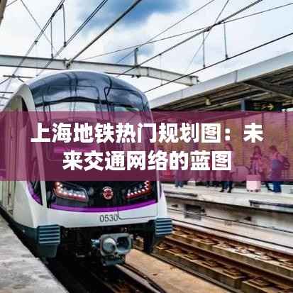 上海地铁热门规划图:未来交通网络的蓝图