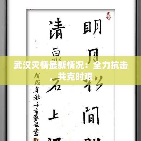 武汉灾情最新情况:全力抗击,共克时艰
