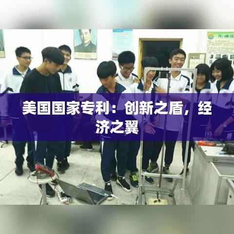 美国国家专利:创新之盾,经济之翼