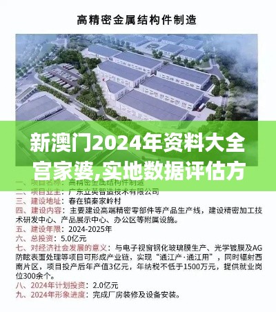 新澳门2024年资料大全宫家婆,实地数据评估方案_X7.248