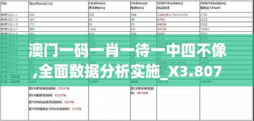 澳门一码一肖一待一中四不像,全面数据分析实施_X3.807