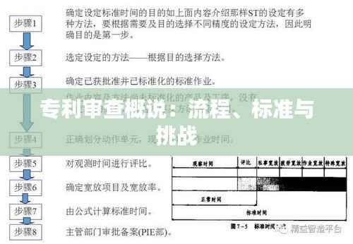 专利审查概说：流程、标准与挑战