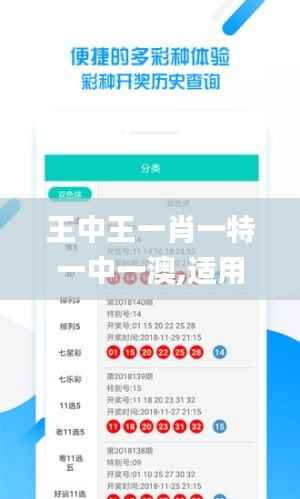 王中王一肖一特一中一澳,适用实施计划_V版2.986