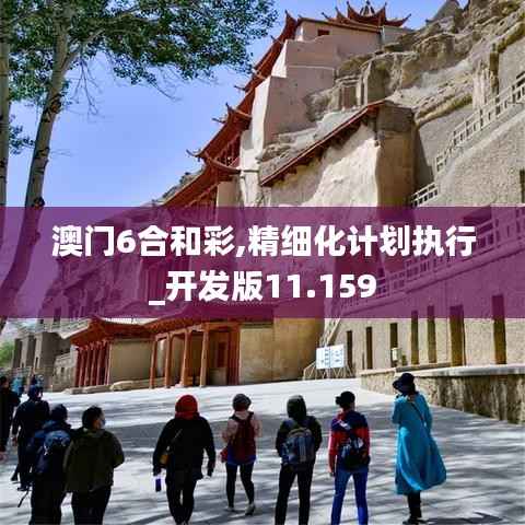 澳门6合和彩,精细化计划执行_开发版11.159