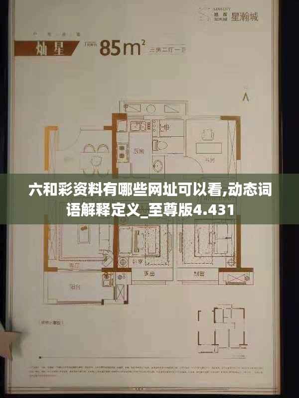 六和彩资料有哪些网址可以看,动态词语解释定义_至尊版4.431