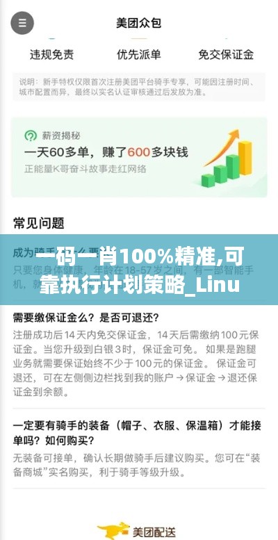 一码一肖100%精准,可靠执行计划策略_Linux2.624
