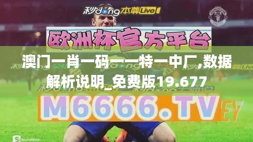 澳门一肖一码一一特一中厂,数据解析说明_免费版19.677
