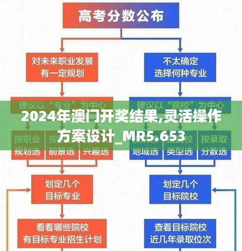 2024年澳门开奖结果,灵活操作方案设计_MR5.653