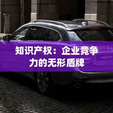 知识产权:企业竞争力的无形盾牌
