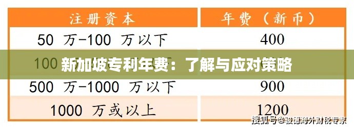 新加坡专利年费:了解与应对策略