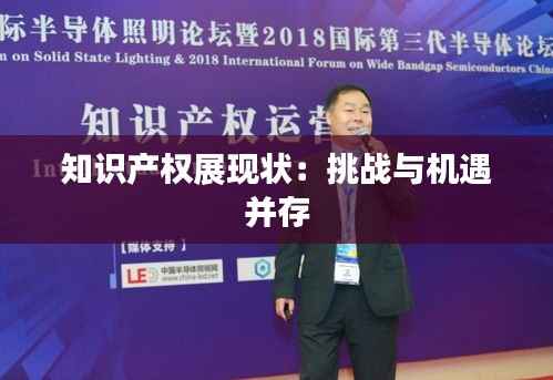 知识产权展现状:挑战与机遇并存