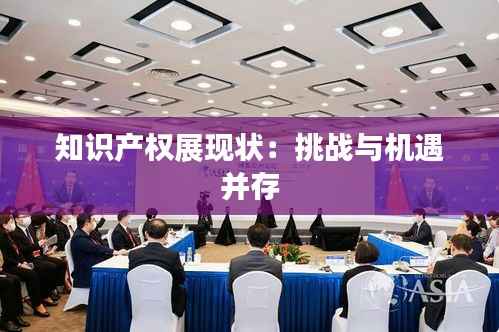 知识产权展现状:挑战与机遇并存