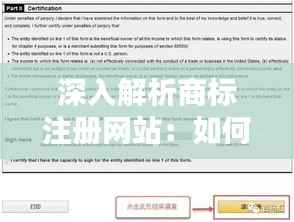 深入解析商标注册网站:如何选择、使用与维护