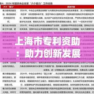 上海市专利资助：助力创新发展的关键举措