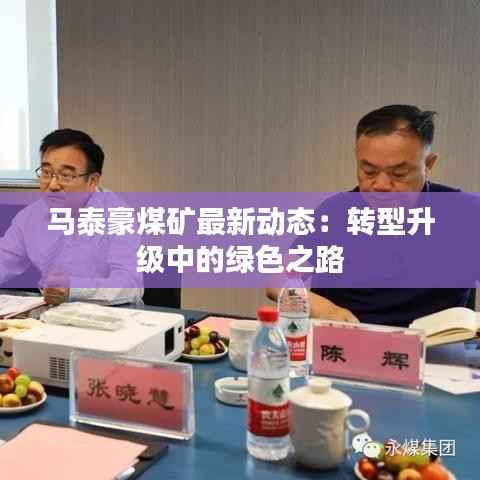 马泰豪煤矿最新动态:转型升级中的绿色之路