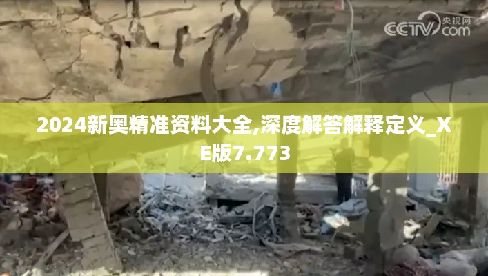 2024新奥精准资料大全,深度解答解释定义_XE版7.773