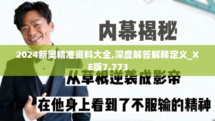 2024新奥精准资料大全,深度解答解释定义_XE版7.773